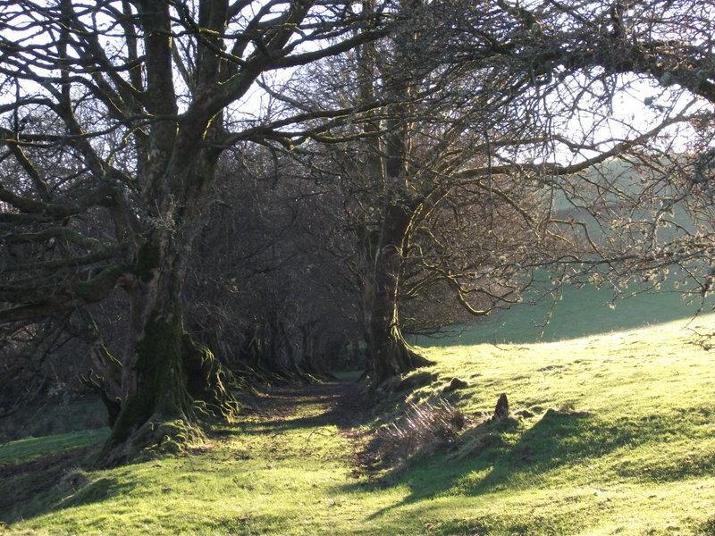 Swallow Barn Llanwrtyd Wells Pokój zdjęcie