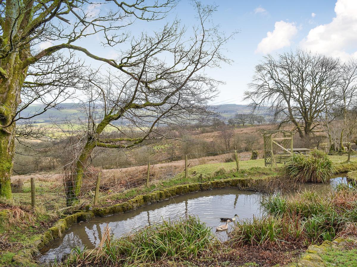 Swallow Barn Llanwrtyd Wells Zewnętrze zdjęcie